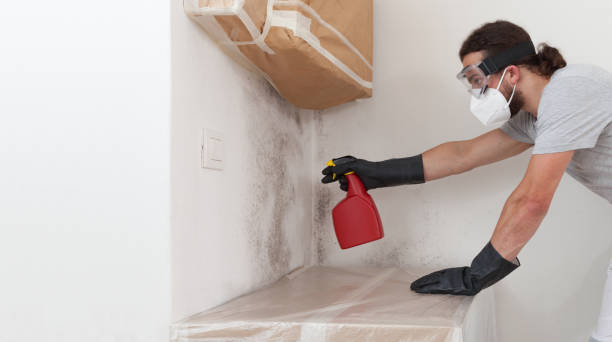 Professional Bathroom Mold Removal technician working in Long Beach, MD