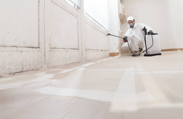 24/7 Emergency Bathroom Mold Removal experts in Long Beach, MD